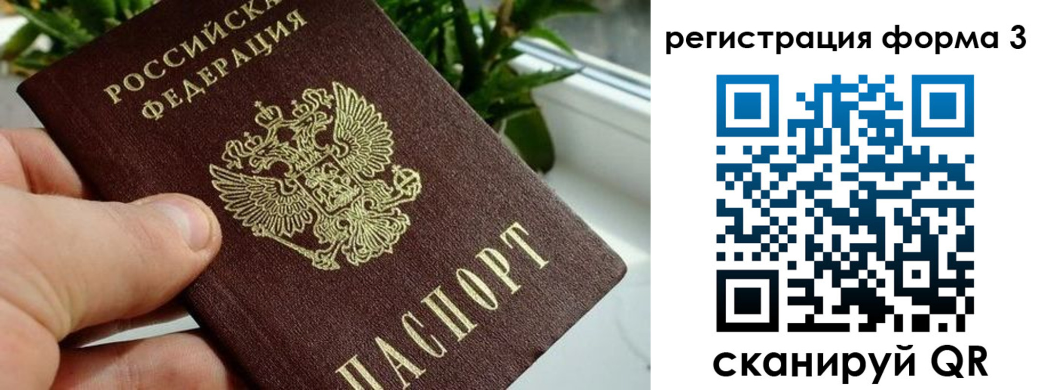 прописка штамп в Шебекино